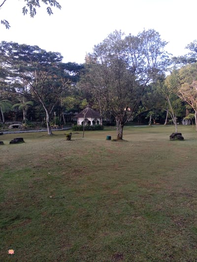 The image depicts a manicured park area with lush green grass. In the mid-ground, a white gazebo with a conical roof and draped curtains stands prominently. Surrounding the gazebo are various trees and dense foliage, indicating a natural or landscaped environment. Several large rocks are scattered across the lawn, and a green cylindrical object is visible near one of the trees. The background features a building, likely part of the same property, nestled amongst the trees. The overall scene suggests a serene outdoor setting, possibly a resort or garden, with the lighting indicating it is either early morning or late afternoon. There are no people or animals visible in the image. The location is identified as Durin Serugun, Indonesia.
