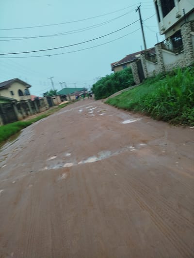 The image depicts a muddy, unpaved road in Isiehor, Nigeria, on an overcast day. Tire tracks are visible in the wet mud. On the right side of the road, there is a dense growth of green grass and foliage. Further back, several buildings are visible, including a multi-story house with stone accents on the right. On the left, a cream-colored building with arched windows and a dark fence is present, along with other structures with green roofs and walls. Several utility poles and power lines stretch across the sky. In the distance, a few blurred figures, possibly people, are walking on the road. The overall scene suggests a rural or semi-urban environment in Nigeria after or during rainfall.