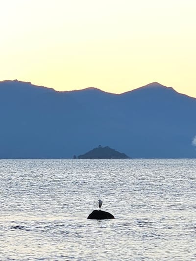 A vertically oriented landscape photo captures a scenic view, potentially located in Villarrica, Chile, given the presence of a body of water, possibly a lake, and mountainous terrain. The photo is divided into three vertical sections: the left side is dominated by a bright, slightly yellowish sky transitioning into the dark blue silhouette of mountains. The mountains appear to be part of a range, with varying peaks and valleys. The middle section features a dark blue expanse that may represent either the sky or a body of water reflecting the sky. The right side of the image shows a textured, light-colored body of water, with rippled patterns suggesting surface movement. Near the center right, a dark, triangular object floats on the water. A white seagull sits on top of the triangular object. The lighting suggests either sunrise or sunset, with the light source located behind the mountains, creating a silhouette effect. The overall atmosphere is tranquil and scenic. There are no people visible in the image.