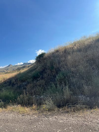 The image depicts a rural, mountainous landscape. A gravelly path runs along the right side of the frame, bordered by dry, tall grass and sparse vegetation. The terrain slopes upward to the left, forming a rocky embankment covered in dry grasses and some green foliage. In the distance, rugged mountain peaks are visible under a clear blue sky with a few wispy white clouds. The sunlight suggests it is daytime, likely mid-morning or afternoon, with the sun casting shadows on the mountainside. The overall scene evokes a sense of natural beauty and remoteness. There are no people or discernible objects other than the natural elements of the landscape. The image appears to be taken outdoors, possibly in a natural reserve or a mountainous region.