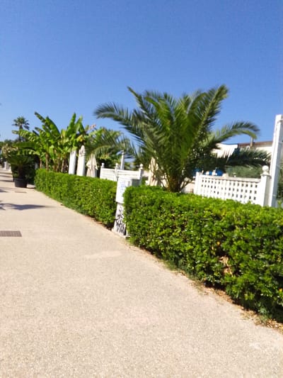 This is a media file depicting a sunny day at a tropical or Mediterranean location, possibly near Valle Castellana, Italy. The scene is characterized by lush greenery, including palm trees and manicured hedges, bordering a paved pathway. In the background, there are structures that appear to be part of a resort or establishment, with white fences and umbrellas visible. The sky is a clear, bright blue, indicating good weather. The pathway suggests a walkway or promenade, and the overall impression is one of a well-maintained outdoor leisure space, likely a resort or park. There are no people visible in the frame, and no text is apparent. The time of day appears to be midday or early afternoon due to the bright sunlight and distinct shadows.
