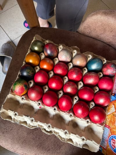 The image depicts an egg carton filled with dyed Easter eggs. The eggs are predominantly red, but also include colors such as blue, brown, gold, orange, and green. The egg carton is resting on a brown upholstered surface, possibly a chair. A package of pastries is visible in the upper right corner of the image, with Cyrillic writing suggesting a connection to Bulgaria. Based on the package, the location can be narrowed to Zlatna Panega, Bulgaria. Part of a person's leg and foot in a slipper are visible in the lower left corner, implying someone is nearby.