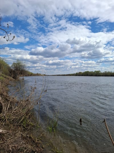 The image depicts a view of a body of water, likely a river, with vegetation along the bank in Дерезовка, Russia. The water stretches out horizontally, with visible ripples on the surface. The riverbank in the foreground is covered in dried grasses, small shrubs, and bare branches. The sky occupies a significant portion of the image, filled with puffy white clouds against a blue backdrop. Along the opposite bank of the river, a line of trees is visible. The orientation of the image suggests it was taken vertically.