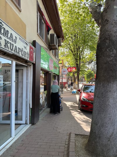 This image captures a vibrant street scene in Iznik, Turkey, under bright, sunny conditions, likely during daytime. The perspective is slightly elevated, looking down a paved street lined with trees and buildings.

On the left side of the frame, there are multi-story buildings, possibly housing shops on the ground floor and residences above. Air conditioning units are visible on the upper walls of one building. A woman wearing a light-colored headscarf and a dark skirt is seen from behind, walking or standing on the brick-paved sidewalk in front of one of these establishments. A small child's scooter or bicycle is positioned nearby on the sidewalk.

The street itself is paved, and the sidewalk features reddish-brown bricks. Shadows from the overhead trees fall across the sidewalk and street, indicating a sunny day. Further down the street on the right, a red car is parked. Lush green foliage from numerous trees overhead and along the street suggests it is either spring or summer.

Several signs are visible, indicating commercial activity. A prominent red sign with white lettering clearly displays "BİM," identifying a discount supermarket. Below it, another sign features the Turkish flag's star and crescent symbol, and the word "KUAFÖRÜ," which is Turkish for "Hairdresser's." Another green sign above a shop entrance has text in Turkish, though it is not clearly legible.