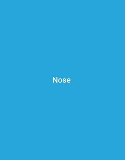 The image is a solid blue background with the word "Nose" written in white text in the center. There is no information about Gwoza, Nigeria in the image.
