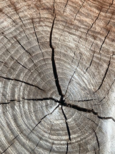 The image shows a close-up, overhead view of a weathered wood surface, likely a tree stump. The surface exhibits distinct growth rings, forming concentric circles that are interrupted by several deep, dark cracks radiating from the center. The texture is rough and aged, with visible grain patterns and lighter, splintered areas along the cracks. The lighting suggests an outdoor environment, casting shadows that accentuate the depth and texture of the wood. The setting is identified as Межводненское сельское поселение, Ukraine. There are no people or animals visible in the image, and no actions or interactions are depicted.