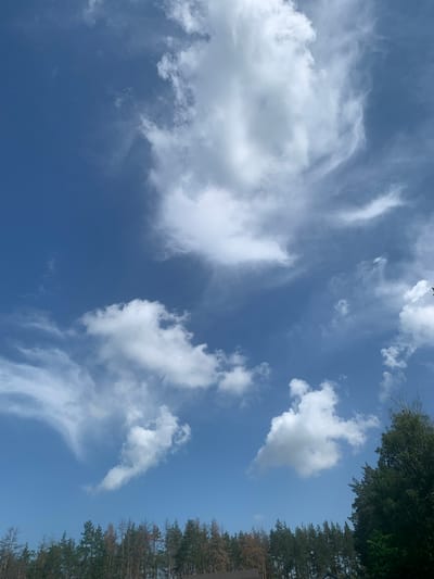 The image shows a wide expanse of blue sky dotted with white, fluffy clouds. The clouds vary in size and shape, with some appearing wispy and others more substantial. In the lower portion of the image, a line of trees forms a dark green and brown silhouette against the sky, suggesting a forested area. The trees are dense and appear to be a mix of coniferous and deciduous types. The overall impression is a natural, outdoor scene, likely taken during the daytime under clear weather conditions. The location is specified as Pokotylivka, Ukraine.