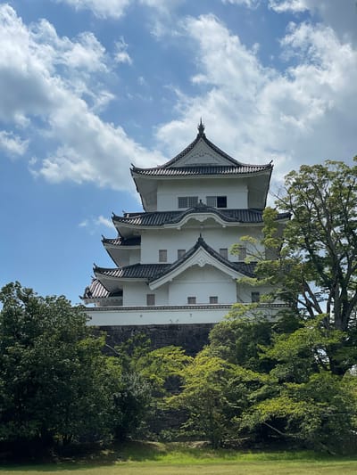 This is a medium-shot, eye-level, outdoor photograph of a white, multi-tiered castle with dark gray tiled roofs against a bright blue sky filled with white, puffy clouds. The castle is perched on a stone embankment and surrounded by lush green trees. The architecture features traditional Japanese castle design with layered roofs that have upturned eaves. Several windows are visible on the white walls. A large, mature tree with dark bark and green leaves stands to the right of the castle, partially obscuring its upper portion. The foreground is a grassy area. The scene is well-lit by natural daylight, suggesting it was taken on a clear day. The location is Iga, Japan.