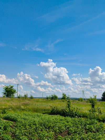 This media file captures a serene rural landscape under a vast blue sky dotted with fluffy white clouds. The scene depicts a cultivated field in the foreground, lush with green vegetation, likely crops. Beyond this field, a meadow stretches out, characterized by tall grasses and scattered bushes, leading towards a treeline in the middle ground. Power lines and utility poles are visible, suggesting the presence of rural infrastructure. The overall setting evokes a peaceful, sun-drenched day in the countryside.
The time of day appears to be midday or early afternoon, given the bright sunlight casting clear shadows and illuminating the landscape. The weather is fair and clear, with a blue sky and scattered cumulus clouds indicating pleasant conditions. The location, identified as Munayka, Russia, suggests a rural environment, consistent with the agricultural fields and open meadows depicted. There are no people or specific events visible, focusing solely on the natural and built environment. The mood conveyed is one of tranquility and natural beauty. No text is visible in the media file.