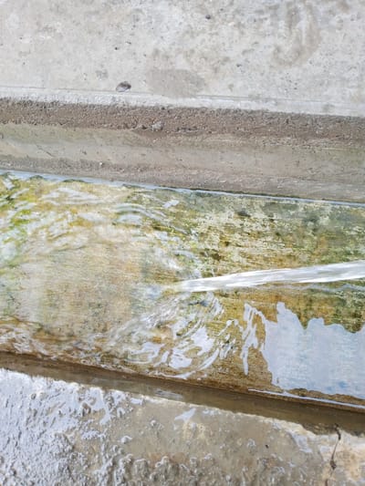 The image shows a concrete drainage channel filled with water. The water is flowing from the right side of the frame towards the left, creating ripples and distortions on the surface. The channel bed is discolored with patches of green algae and brown sediment, indicating stagnant water in some areas. The concrete edges of the channel are worn and rough. Above the channel, there is a higher level of concrete with a rough, textured surface. The lighting suggests it is daytime, with the sun reflecting off the water. There are no people or animals visible in the frame. The scene appears to be outdoors, likely in an urban or semi-urban environment given the concrete construction, possibly within Suzak, Kyrgyzstan. The overall impression is one of a functional, though somewhat neglected, water management system.