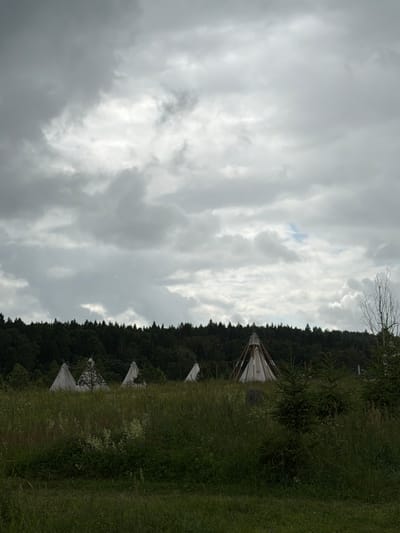 The image, taken in Kozhino, Russia, depicts a serene, natural landscape under an overcast sky. The primary subjects are several conical tents, resembling teepees, scattered across a grassy field. These tents, made of white material supported by wooden poles, are arranged in a line towards the right side of the frame, with their peaks pointing upwards.
The setting is a gently sloping hillside covered in lush, green grass that appears somewhat wild and untamed, with a mix of taller grasses and smaller plants. Behind the tents and the field, a dense line of dark green trees forms a forest backdrop that stretches across the horizon. The sky is dominated by heavy, gray clouds, suggesting either early morning or late afternoon, with diffused light that casts a soft, muted tone over the entire scene. There are no visible people, text, or specific events taking place, contributing to a peaceful and natural ambiance. The overall impression is one of a quiet, rural retreat or glamping site, nestled amidst nature.