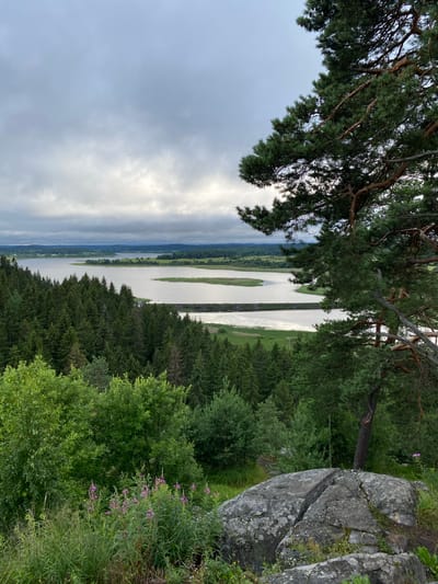 This is a vertical, medium-shot, outdoor photograph taken from a high vantage point, looking down and across a body of water. The scene is dominated by lush green foliage, a large grey rock formation in the foreground, and a wide, calm river with two elongated islands. The sky is overcast with patches of bright sunlight breaking through, suggesting it is either early morning or late afternoon.
In the immediate foreground, to the right, a large, weathered grey boulder with visible cracks and lichen growth takes up a significant portion of the frame. To the left, a large evergreen tree branches out, its needles and textured bark prominently featured. Beyond the boulder and tree, dense green forest covers the landscape.
The river is the central subject, appearing wide and serene, reflecting the sky. Two distinct, narrow islands are visible within the river, covered in grass and low vegetation. The far bank of the river is lined with more green trees and rolling hills, with hints of cultivated fields and structures in the distance, suggesting a rural or semi-rural setting.
The overall mood of the image is peaceful and natural. The light filtering through the clouds creates a dramatic effect on the water's surface. The location appears to be in a temperate climate, likely during the summer months given the verdant vegetation. There is no visible text in the image.