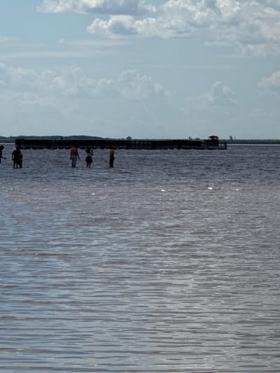 The image depicts a wide expanse of murky water, likely a river or bay, with a distant, long, dark structure resembling a pier or a series of barges. The water is rippled, with lighter patches indicating sunlight reflecting off its surface. In the middle ground, several silhouetted figures of people are wading in the water. Some are standing near the distant structure, while others are further out in the water. The sky above is a pale blue, with scattered white clouds. The scene appears to be outdoors, under daylight conditions. The location is identified as Bursol', Russia, though no specific landmarks are visible to confirm this.