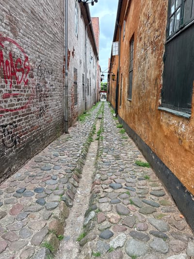 The image shows a narrow cobblestone alleyway in Elsinore, Denmark. On the left, a weathered brick wall is covered in red and black graffiti. On the right, a building with an orange, textured facade features several windows and a dark wooden door. The alleyway is lined with uneven cobblestones and has a central drainage channel. Green grass sprouts between the stones. In the distance, the alley opens up to a glimpse of greenery and what appears to be more buildings. The sky above is overcast with clouds. No people are visible in the image.