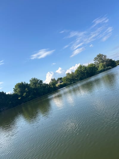 The image depicts a natural landscape, possibly a reservoir or lake, with a body of water occupying the foreground and mid-ground. The water's surface exhibits gentle ripples. A tree-lined bank borders the water on the left and extends into the distance. The trees are lush and green, indicating a temperate climate. The background consists of a bright blue sky with scattered white clouds, some appearing wispy and others more substantial. A single, small building with a white roof is visible on the far right bank, nestled amongst the trees. The overall scene is serene and appears to be a view of the natural environment in or near the city of Lazky, Ukraine, characterized by water, vegetation, and clear sky.