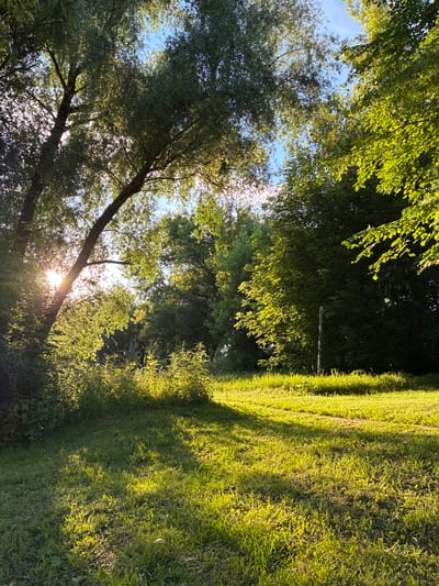 This image captures a sun-drenched meadow bordering a dense, green forest. The sun's rays pierce through the canopy of the trees, casting dappled light and long shadows across the verdant grass. In the foreground, the grass is lush and vibrant, with a few scattered wildflowers adding touches of color. A thin, weathered wooden post stands upright in the middle of the field, a solitary object in the natural landscape. The trees themselves are tall and mature, their leaves a rich emerald green. The sky above is a clear, bright blue, with a few wispy clouds visible. The overall impression is one of peaceful, natural beauty. The location of Il'inskoye, Russia, is not explicitly depicted in the image, but the scenery suggests a rural or semi-rural setting within that region.