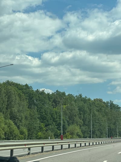 The image shows a highway with a line of trees on the right side of the road. The trees are dense and green, with a variety of heights and textures. In the background, the sky is blue with some white clouds. There are streetlights visible along the highway. There are no people or vehicles visible in the image. The scene appears to be a rural or suburban area. The location is the city of Rasskazovo, Russia.