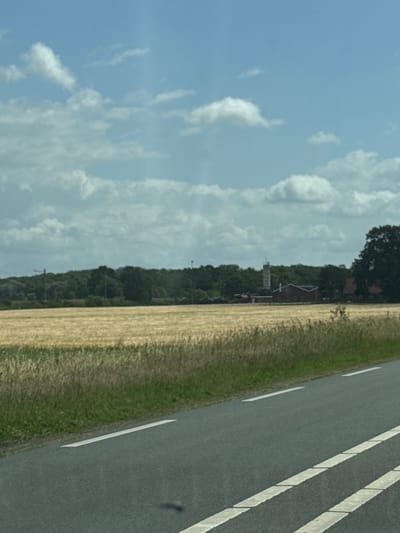 The image depicts a rural landscape with a road in the foreground. A field of dry, golden crop, likely wheat or barley, stretches across the middle ground. Behind the field, a dense line of green trees forms a natural boundary. A cluster of buildings, possibly a farm or small industrial complex, is visible amongst the trees, with a tall, slender tower structure also present. The sky is a pale blue, dotted with scattered white clouds. The road in the foreground has white lane markings. The scene is static and appears to be a daytime photograph taken from a moving vehicle.
