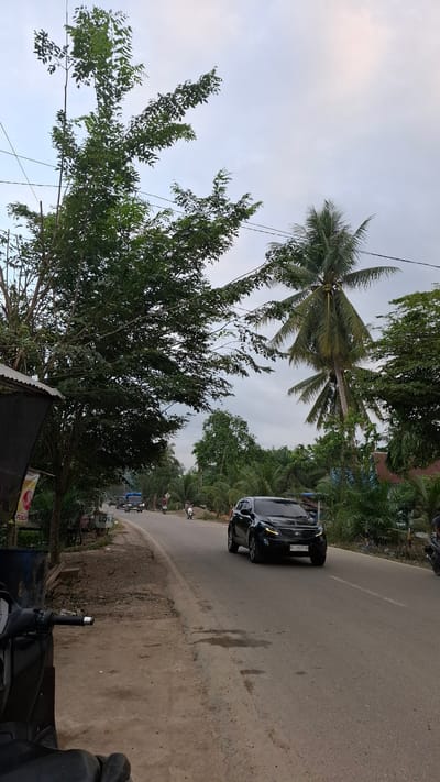 In Teungohlhoksukon Timur, Indonesia, a black Kia Sportage is captured driving on a two-lane asphalt road under an overcast sky. The car, with license plate "BL 1027 XP", is positioned on the right side of the road, heading away from the viewer. To the left of the road, a tall, leafy tree dominates the foreground, its branches extending towards the sky, which is a pale, washed-out blue. Beside the tree, a dark structure, possibly a small shop or building with a corrugated metal roof, is visible, with signage including the word "PEACH". A blue trash bin is also present near this structure. Further down the road, a dark blue truck is seen in the distance, along with several motorcycles and riders. The surrounding environment is lush with vegetation, including palm trees and other dense foliage, indicating a tropical or subtropical climate. The road surface shows some signs of wear, with a few wet patches and cracks. The overall scene depicts a quiet, everyday moment on a rural or semi-rural road in Indonesia.