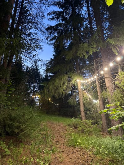 The image depicts a pathway winding through a forest at dusk. The sky above is a deep blue, transitioning into the evening. Tall evergreen trees dominate the scene, their branches creating a canopy that filters the fading light. Strands of fairy lights are strung between the trees, their warm glow illuminating parts of the forest floor and adding a festive atmosphere. The ground is covered with pine needles, cones, and patches of green grass and other low-lying vegetation. A narrow dirt path is visible, leading the eye deeper into the woods. The overall impression is one of a serene, natural setting enhanced by decorative lighting, likely set up for an outdoor event or gathering. The location is stated to be in the city of Makarovo, Russia. There are no people or animals visible in the image.