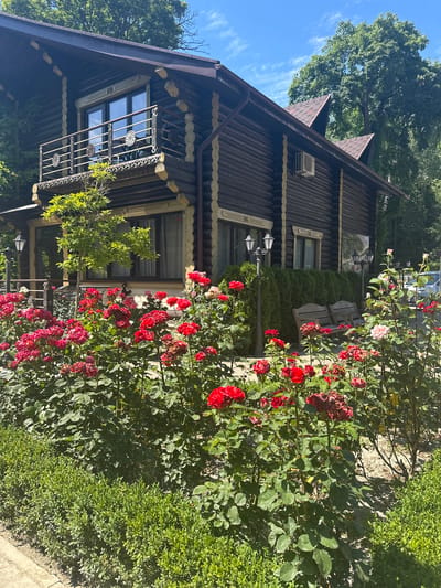 A wooden log cabin-style house is surrounded by a blooming rose garden in Shirokaya Schel, Russia. The house features dark brown logs with light-colored chinking, a dark brown roof with peaked gables, and a balcony with decorative metal railings. A small green tree grows in front of the house, partially obscuring a window. Multiple lampposts are visible around the property. In the foreground, a dense garden of red and pink roses is in full bloom, with a neatly trimmed green hedge along the bottom of the frame. Two wooden benches are placed near the house, and a portion of a white car is visible in the background. The sky is bright blue with scattered white clouds.