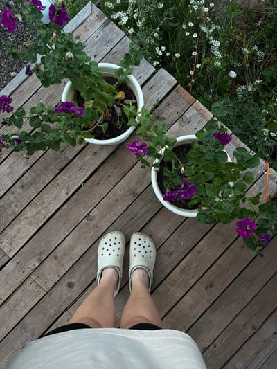 The image shows a person's legs and feet, wearing white Crocs, standing on a wooden deck. Two white planters with purple petunias are visible on the deck. In the background, there is a patch of wild daisies and other green foliage. The scene is outdoors, suggesting a garden or patio setting, and it is daytime. The location is identified as Kuliki, Russia.