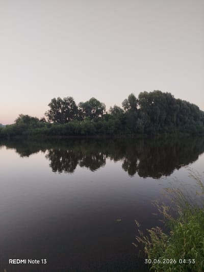 A tranquil scene unfolds across a calm river in Rahachow, Belarus, at dawn. The water's surface acts as a mirror, reflecting the dense, verdant foliage of trees lining the opposite bank. The trees are a mix of lush greenery and darker, more mature specimens, creating a textured silhouette against the pale, overcast sky. In the foreground, tall grasses and reeds grow along the river's edge, adding a touch of wildness to the serene landscape. The overall impression is one of peace and stillness, characteristic of the early morning in this Belarusian city. The image is dated "30.06.2026 04:53" and shows the text "REDMI Note 13" in the bottom left corner.