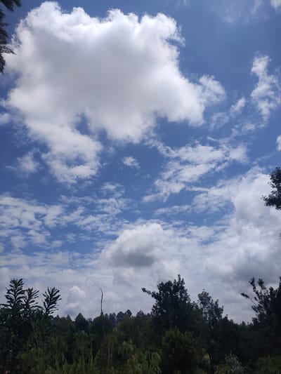 A daytime view showcases a vibrant blue sky filled with fluffy, white cumulus clouds. The clouds vary in size and density, some appearing as large, expansive formations, while others are smaller and scattered. In the foreground, a line of trees creates a dark, green silhouette against the bright sky. The scene suggests a sunny day with a mix of clear sky and cloud cover.