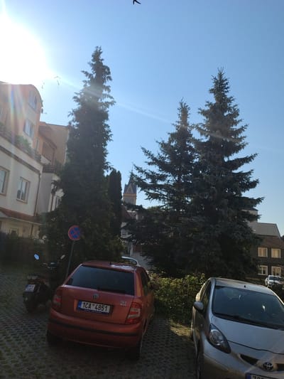 In Hluboká nad Vltavou, Czechia, under a clear blue sky with bright sunlight and lens flares, a parking area is shown. Several objects are visible: a red Skoda Fabia is parked in the foreground with its rear facing the camera, displaying a Czech license plate "1CA 4851". To its left, a dark-colored scooter is parked. Further to the left, a light-colored car is partially visible. In the background, tall evergreen trees dominate the scene, with two large fir trees prominently featured. Behind the trees, a building with a distinctive tower can be seen. Additional buildings, likely residential, are also present. A "no parking" sign is visible near the red Skoda. The ground is paved with interlocking concrete blocks. A bird is captured in flight in the upper portion of the image.