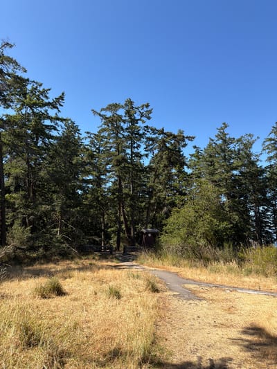 In the Southern Gulf Islands Electoral Area, Canada, a paved walking path winds through a dry, grassy field towards a dense forest of tall evergreen trees. A small, dark red wooden outhouse with a pitched roof is visible to the left of the path, nestled near the edge of the trees. The ground is covered in dry, golden-brown grass, with patches of greener vegetation interspersed. The sky above is a clear, bright blue. The scene suggests a park or natural recreational area, likely during a dry season given the condition of the grass. There are no people visible in the image.