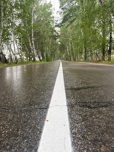 This is an image taken outdoors in Savvateevka, Russia. The primary subject is a wet asphalt road with a prominent white line marking the lane. The road is flanked by a line of trees, predominantly birch trees with their characteristic white bark, and lush green foliage. The perspective is low to the ground, looking down the length of the road, which recedes into the distance.
The wetness of the road suggests recent rainfall or damp conditions, and the overcast sky implied by the lighting indicates it may be a cloudy day. The scene appears to be a rural or semi-rural setting, possibly a road leading through a forest or park. There are no people or vehicles visible, suggesting a quiet or deserted moment. The overall mood is serene and natural, with the texture of the asphalt and the soft greenery of the trees creating a contrast. No text is visible in the image.
