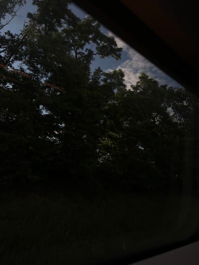 The image, captured through a window frame which is partially visible at the top and bottom edges, looks out onto a dense line of trees. The trees are mostly dark green, obscuring much of the view behind them. Through gaps in the foliage, patches of blue sky and scattered white clouds are visible. A thin, horizontal orange streak is present across the upper left portion of the image, possibly a reflection or lens flare. The overall lighting suggests it is daytime, possibly late afternoon or early morning, given the shadows and the interplay of light and dark. The lower part of the image shows a dark, out-of-focus area which could be ground cover or the interior of the vehicle from which the photograph was taken. The scene appears to be a natural landscape bordering an urban or suburban area, and is not specifically identifiable as being in the city of Wittenberg, Germany, based on visual cues alone.