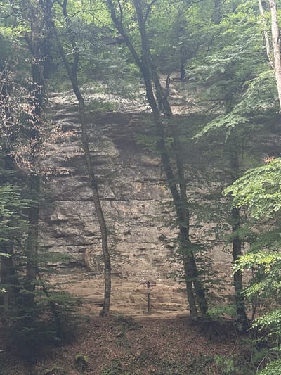 The image depicts a cliff face in a forest setting, likely within the Mullerthal region of Consdorf, Luxembourg, commonly known as "Little Switzerland". The cliff is composed of layered sandstone, with distinct horizontal strata visible. Lush green foliage from trees and undergrowth covers the top and sides of the cliff, as well as the forest floor in the foreground. A narrow dirt path runs along the base of the cliff, covered in fallen leaves and some ivy. A wooden signpost with multiple directional arrows is located on the path to the left of center, indicating a trail junction. The overall scene is one of a natural, forested landscape with a prominent geological feature.