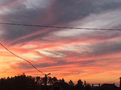 The image depicts a vibrant sunset over a rural area, likely the outskirts of Kobryn, Belarus. The sky is a dramatic canvas of colors, transitioning from deep purples and grays at the top to fiery oranges and pinks near the horizon. Wispy clouds are streaked across the sky, catching the light and creating a sense of depth and movement. Silhouetted against this colorful sky are dark trees and the rooftops of several buildings, suggesting a residential or semi-rural setting. Power lines crisscross the frame, adding a modern element to the natural beauty of the sunset. The overall impression is one of serene beauty, with the natural light show dominating the scene.