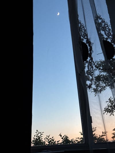 The image shows a view through a window looking out at a twilight sky. A crescent moon is visible in the pale blue sky. A sheer, decorative curtain with black lace trim hangs on the right side of the window, partially obscuring the view. Silhouetted against the fading light are the tops of trees or bushes along the bottom edge of the window frame. The left side of the image is dominated by a dark, unlit area, likely part of the interior of the room. The scene suggests a quiet evening in Kosh, Armenia.