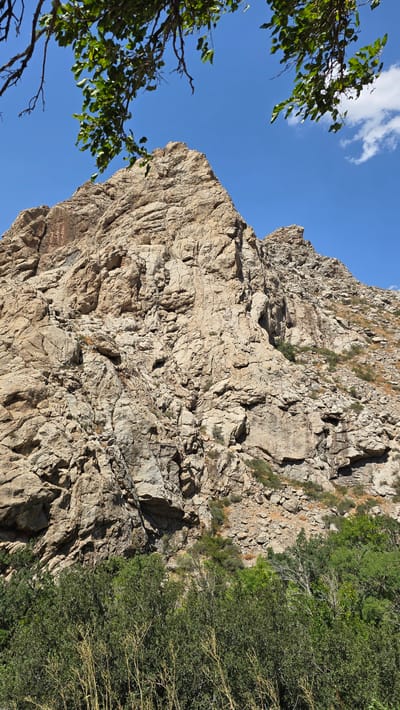 The image shows a rocky mountain face under a clear blue sky with some green trees in the foreground. The mountain is steep and rugged, with many ledges and crevices. The rocks are light brown and beige, suggesting a dry, arid environment. There are some sparse green bushes growing on the lower slopes of the mountain. In the lower part of the image, a dense line of dark green trees runs horizontally across the scene, with some lighter, dried branches visible among them. The upper part of the image features a few green leaves and branches of a tree in the foreground, framing the top of the mountain. The sky is a vibrant blue with a few wispy white clouds on the right side. This scene is located in the city of Terekty, Kazakhstan, characterized by its mountainous terrain and sparse vegetation. No people or animals are visible in the image, nor are there any man-made structures.