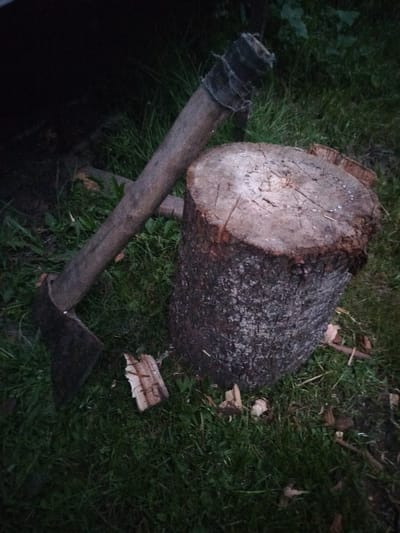 An axe and a tree stump sit on grassy ground. The axe is resting on the ground with its blade pointing left, and the handle is angled upwards and to the right. The tree stump is positioned to the right of the axe, and it appears to be freshly cut. Small pieces of wood are scattered around the stump and axe. The scene is outdoors, with some foliage visible in the background. The lighting suggests it is either dusk or a shaded area. The location appears to be rural.