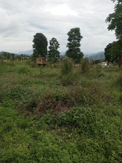 The scene depicts an undeveloped, overgrown field in Abbireddygudem, India, under an overcast sky. The foreground is filled with dense, varied green vegetation, including numerous weeds and shrubs, some exhibiting small light purple flowers. Patches of drier, brown plant matter are interspersed throughout this growth. In the midground, a light-brown wooden structure, elevated on a platform or stilts, with a single window and white framing, is visible towards the left, positioned between several tall, slender trees with dense green foliage. Further right in the midground, additional tall green trees are present. The background features rolling green hills and mountains extending across the horizon. To the right, a village or residential cluster of white and light-colored buildings is visible among trees on a lower slope, with a distinct red and white communication tower prominent on a distant elevated terrain. No individuals are depicted.