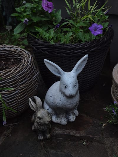 Two garden statuettes of rabbits are placed on a dark, wet paved surface. The larger, lighter-colored rabbit is positioned to the right and slightly behind the smaller, darker-colored rabbit, which is to the left and in the foreground. Behind the rabbits, two woven baskets are visible. The basket on the right is darker and contains green foliage and purple petunia flowers. The basket on the left is lighter and appears to be filled with soil. The scene is outdoors, with elements suggesting a garden or patio setting. The location is identified as Астра-1 Днт, Russia.