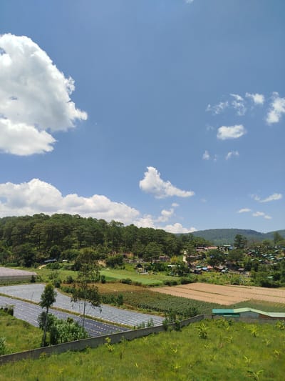 This image depicts a rural landscape in the city of K'Rèn, Vietnam. The scene is dominated by a vast expanse of blue sky with scattered white clouds. Below the sky, a dense forest of pine trees covers a hillside. In the foreground, agricultural fields are visible, featuring rows of crops covered with plastic sheeting, as well as tilled earth. A concrete wall runs horizontally across the mid-ground, separating different agricultural areas. A few small buildings, possibly greenhouses and farm structures, are scattered throughout the landscape. The overall impression is one of a serene, agricultural region under a clear, sunny sky. There are no people or animals visible in the image.