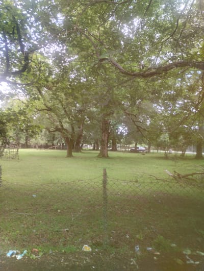 In Bandza, Georgia, a grassy clearing is visible, dotted with several trees. A wire fence runs across the foreground, with some scattered debris near its base. In the background, a dark-colored car is parked beneath the trees, and a fence line extends across the property. The overall scene depicts an outdoor area with a natural, somewhat unkempt appearance.