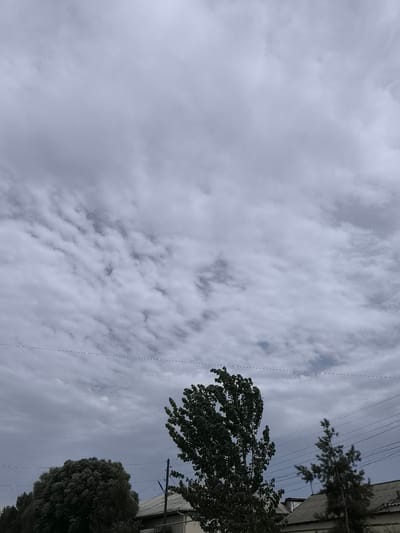 The image shows a cloudy sky over the city of Kichik-Turk, Uzbekistan. In the foreground, there are two trees and the roofs of some buildings. There are also power lines visible in the sky. The sky is filled with grey clouds, suggesting an overcast day. The trees are green and leafy, indicating it is likely spring or summer. The buildings appear to be residential, with tiled roofs. The overall impression is a somewhat subdued urban landscape under a cloudy sky.