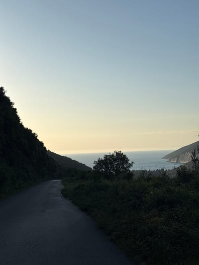 The image captures a serene coastal landscape, likely during late afternoon or early evening. An asphalt road, dark grey and appearing to curve gently, occupies the lower right portion of the frame. It is flanked by dense, dark green vegetation and trees growing on a hillside or cliff face.
Beyond the foliage and the immediate land, a calm body of water, likely the sea, stretches towards the horizon. The water's surface reflects the soft, diffused light, appearing a muted blue-grey. In the distance, a prominent landmass, possibly a mountain or cliff, extends into the sea, forming a rugged coastline.
The sky above transitions from a pale blue in the upper left to a warm, soft golden-yellow hue towards the horizon and the right, characteristic of a sunset or sunrise. The overall weather appears clear and calm. A single, small tree with dark foliage stands against the lighter sky near the center, offering a distinct silhouette. No people, specific activities, or visible text are present. The scene evokes a tranquil and contemplative atmosphere. The location is Bratica - Braticë, Montenegro.