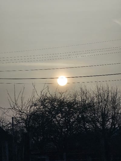 This image depicts a hazy, overcast sky with a bright, circular sun positioned slightly right of center, approximately one-third from the top. Multiple dark utility lines, appearing as five distinct horizontal strands, traverse the upper two-thirds of the frame, with the lowest line passing directly in front of the sun. Below these lines, the silhouettes of numerous deciduous trees, mostly bare of leaves, form a dense, dark mass across the lower half of the frame. Faint dark structures, possibly a fence or low building, are visible behind and beneath the trees. The overall scene is backlit, creating strong contrasts between the bright sun and the dark foreground elements. No people or active subjects are visible. This scene is situated in La Roche-en-Ardenne, Belgium.