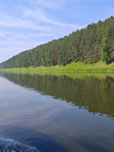 The image shows a wide river flowing alongside a dense forest. The forest covers a sloping hillside that stretches across the background of the image. The trees are predominantly evergreen, with a mix of lighter green deciduous trees scattered throughout. The river's surface is calm, reflecting the trees and the blue sky with wispy white clouds. In the foreground, the water shows a wake pattern, indicating movement. The overall scene depicts a natural, serene environment likely located in a rural or park area. While the specific location is requested to be Piskunovka, Russia, there is no visual information in the image to confirm this.