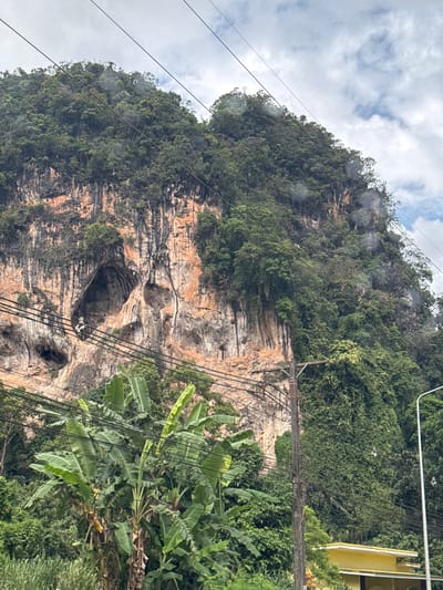 This image shows a rocky cliff face covered in dense green foliage, with several large cave openings visible. The cliff is a prominent geological feature, with striations and varied colors in the rock, ranging from light grey to orange and brown. A power pole with numerous wires stretches across the frame, some of which are partially obscured by the vegetation. In the foreground, lush green banana plants with large leaves are prominent. In the background, the sky is partly cloudy, with white clouds against a pale blue. A small portion of a yellow building with white trim is visible at the top right of the image. The scene appears to be outdoors in a tropical or subtropical environment, likely during daylight hours. There are no people or animals clearly visible. The overall impression is of a natural landscape with some man-made infrastructure. The location is identified as Ban Thung, Thailand.