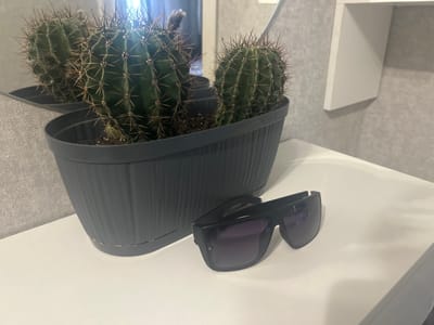 The image depicts a still life arrangement on a white surface, likely a shelf or table, in an indoor setting. The primary subjects are several potted cacti situated in a dark gray, ribbed planter. The cacti are green, spiky, and appear healthy. To the right of the planter, a pair of black sunglasses with dark, possibly purple, lenses rests on the white surface. The background features a textured gray wall and a white shelf mounted above. The lighting suggests an indoor environment, possibly with natural light filtering from an unseen source. There are no people or animals present in the scene. The context of Kokhma, Russia, is not evident from the visual information provided in the image itself.