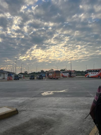 This image depicts a large, open-air bus terminal or depot located in Milagro, Ecuador, under a sky densely covered with altocumulus or stratocumulus clouds, showing patches of bright, yellowish-orange light indicative of either sunrise or sunset. The foreground consists of a dark gray concrete surface with several puddles reflecting the sky. A partial view of a person, identified by a striped shirt (pink, white, and dark bands) and a black backpack strap on the upper right, suggests the viewpoint. A concrete curb is visible on the lower left.

In the midground, a series of vehicles and structures are present. On the left, a small, light-colored building with a blue awning is visible, surrounded by red and white striped traffic barriers. Three dark-colored pickup trucks are parked in a line facing away from the viewer; at least one displays a distinct blue and white emblem on its side. Multiple tall, black streetlights are distributed across the scene.

To the right, a primary area for passenger buses is occupied by at least five large vehicles. Two prominent orange and white buses, both marked with "S.A.N." on their sides, are parked towards the right. One older, predominantly orange and brown bus with visible dirt and wear on its rear is positioned centrally among the buses. Further to the left and behind, additional buses of similar design are partially visible. The background features a line of dense green foliage, with what appear to be power lines or utility towers discernible above the treeline. No direct human interactions or specific actions are clearly depicted among the vehicles or structures.