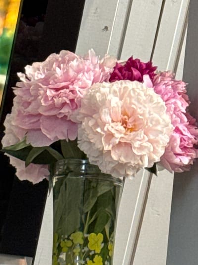 The image shows a close-up of a bouquet of peonies in a glass vase. The peonies are in various shades of pink and white, with one dark pink peony in the center. The vase is clear glass and appears to have a pattern of yellow clover-like shapes and small white flowers. The background is out of focus, but appears to be a light-colored wall or structure with vertical lines. There is a dark, reflective surface to the left of the flowers. The image does not provide any information about the city of Ленгипротранс Снт, Russia.