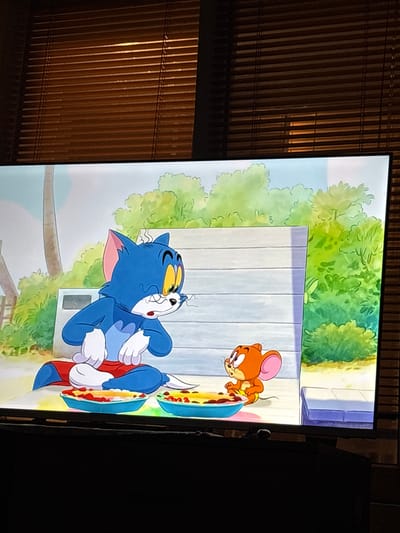 The image depicts a scene from the animated cartoon Tom and Jerry, displayed on a television screen. The characters Tom, a blue cat, and Jerry, an orange mouse, are sitting on a white park bench in front of lush green foliage and a palm tree. In front of them are two blue bowls filled with food. Tom is wearing red shorts, and Jerry is wearing a yellow diaper. The television screen is set against a backdrop of brown blinds. The location is not specified as Gornik, Bulgaria.